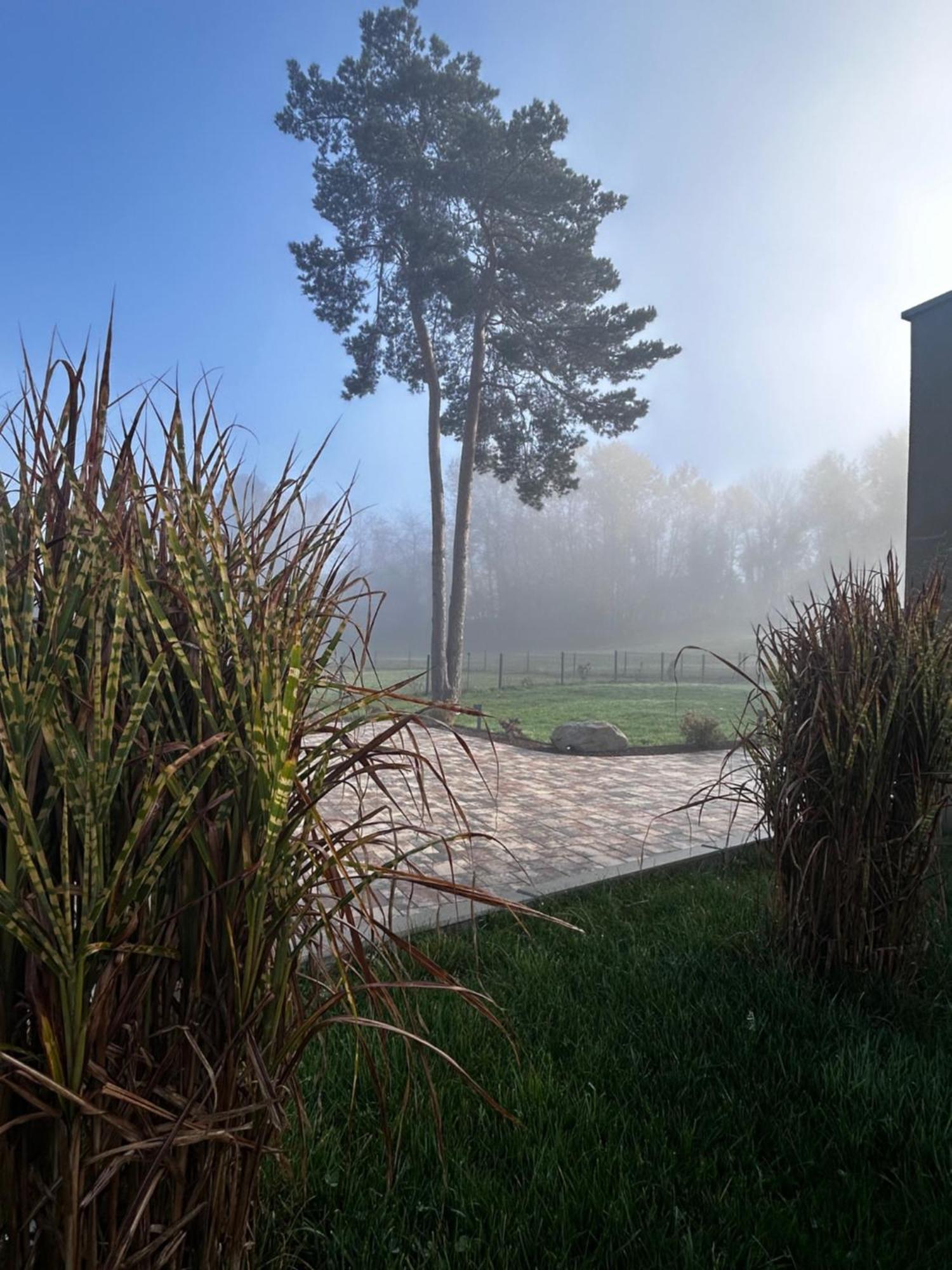 Gite "Villa Belle Vie" Labaroche Kültér fotó
